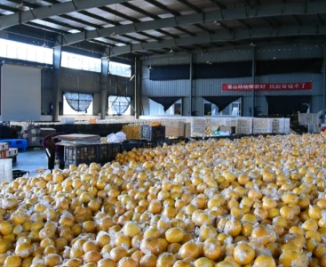 順豐快遞給手動液壓搬運車消毒，保障生鮮瓜果食品安全